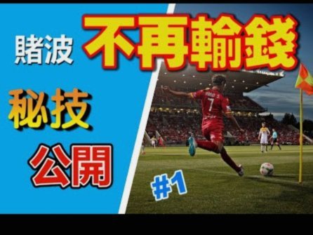山东球迷不满情绪的多维解析